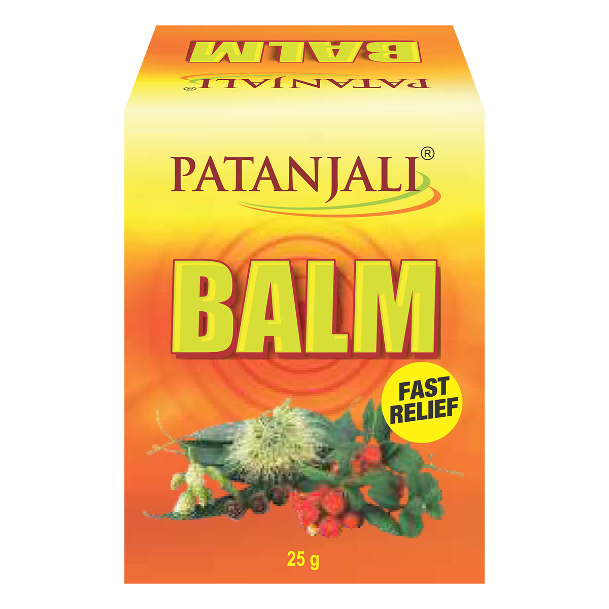Patanjali Balm 25 g - Quick Pantry